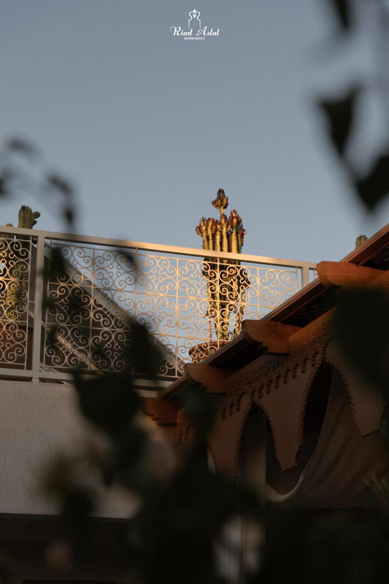 Riad Aslal Μαρακές Εξωτερικό φωτογραφία